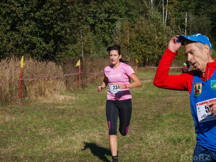 Kliknij aby zobaczyć pełny rozmiar