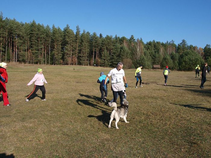 Kliknij aby zobaczyć pełny rozmiar